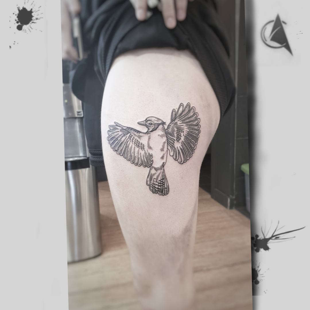 black tattoo, black art, tattoo, tatouage, black lines, studio tentation, bird tattoo